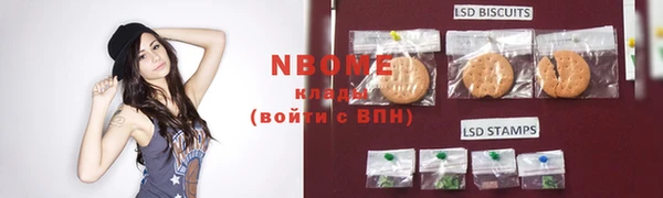 2c-b Надым