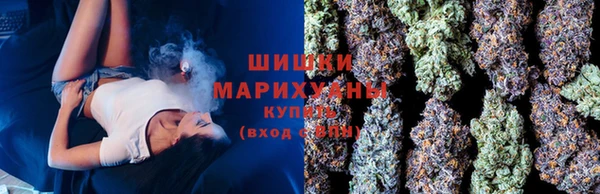 2c-b Надым