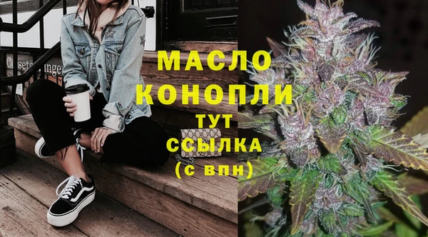 2c-b Надым